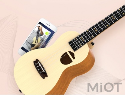 Гітара Xiaomi Populele Q1