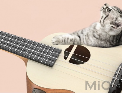 Гітара Xiaomi Populele Q1