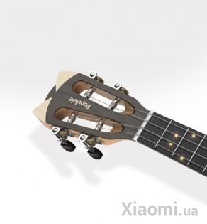 Гитара Xiaomi Populele S2