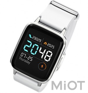 Розумний годинник Xiaomi HAYLOU Smart Watch LS01 Silver / White