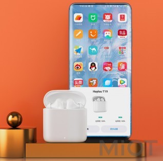 Бездротові навушники TWS XIAOMI HAYLOU-T19 White