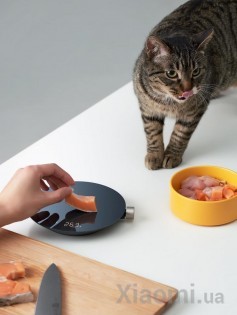 Смарт-весы кухонные Xiaomi HOTO Black QWCFC001