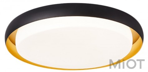 Розумний стельовий світильник Xiaomi Huizuo Pisces