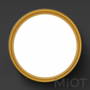 Розумний стельовий світильник Xiaomi Huizuo Pisces