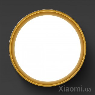Умный потолочный светильник Xiaomi Huizuo Pisces