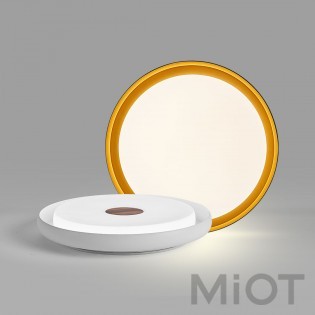 Розумний стельовий світильник Xiaomi Huizuo Pisces