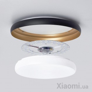 Умный потолочный светильник Xiaomi Huizuo Pisces