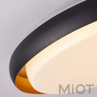 Розумний стельовий світильник Xiaomi Huizuo Pisces