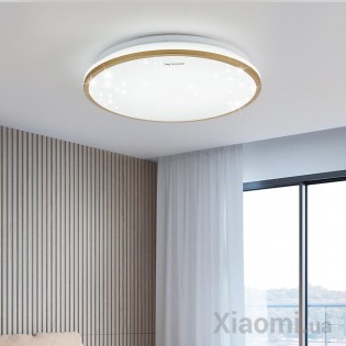 Умный потолочный светильник Xiaomi Huizuo Starlight