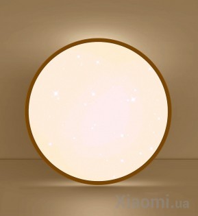 Умный потолочный светильник Xiaomi Huizuo Starlight