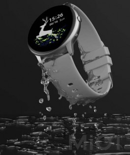 Розумний годинник Xiaomi iMi KW66 Smart Watch Silver/Green Global