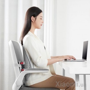 Массажная подставка для спины Xiaomi Leband Ergonomic adjustable backrest Grey LB-YK002