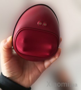 Портативный массажер Xiaomi LeFan LF-MN001 Black