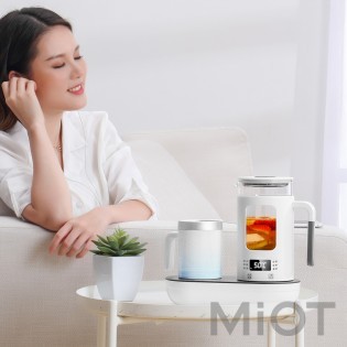 Чайник з регульованою температурою і охолоджуюча чашка Xiaomi Life Element I70