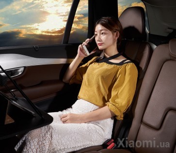 Автомобильный органайзер Xiaomi MAIWEI (TN-YP01)