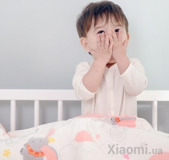 Одеяло и подушка Xiaomi SNUGGLE SAC