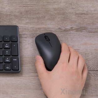 Мышь Xiaomi Mi Wireless Mouse Lite Black (XMWXSB01YM)(HLK4035CN/BHR6099GL)
