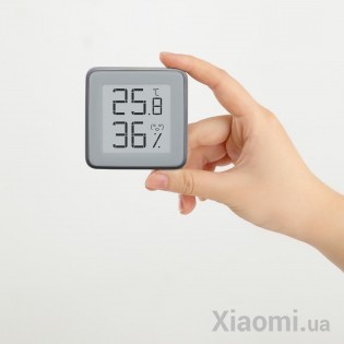 Цифровой Гигрометр Xiaomi Miaomiaoce E-Ink Screen Display Grey (MHO-C401)