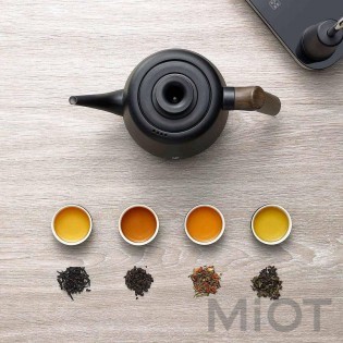 Розумний електрочайник з нержавіючої сталі Xiaomi Ming Zhan MZ-035 Black