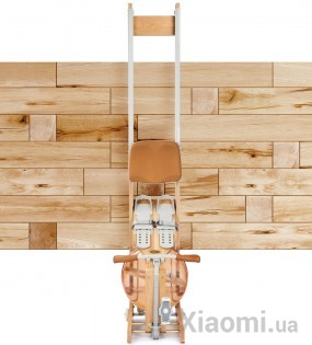 Тренажер Xiaomi Mobifitness Smart Rowing Machine Fashion Light Red Brown