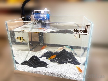 Аквариум Xiaomi Nepall Desktop Landscape Fish Tank Set Series Dry Landscape 220*170*160mm
