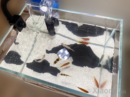Аквариум Xiaomi Nepall Desktop Landscape Fish Tank Set Series Dry Landscape 220*170*160mm