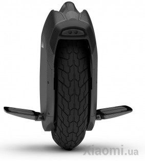 Моноколесо Xiaomi Ninebot by Segway Z10 (29.03.0000.70)