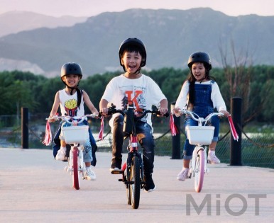 Дитячий спортивний велосипед Xiaomi Ninebot Kids Bike (N1KG14) Red