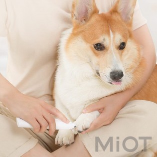 Машинка для стрижки тварин Xiaomi Pawbby (MG-FP001) White
