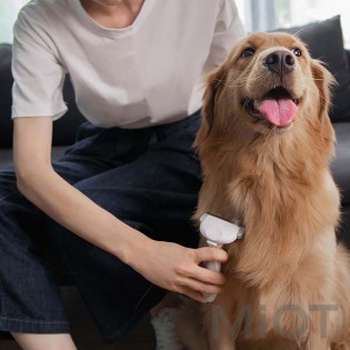 Гребінець для тварин Xiaomi Pawbby MG-PCO001