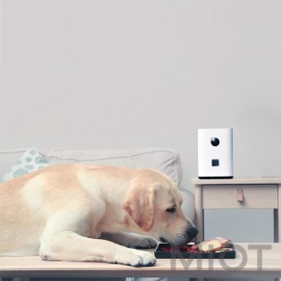 Машина для годування тварин Xiaomi Pawbby MG-PSM001