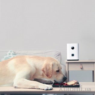 Машина для кормления животных Xiaomi Pawbby MG-PSM001