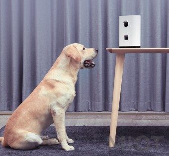 Машина для годування тварин Xiaomi Pawbby MG-PSM001