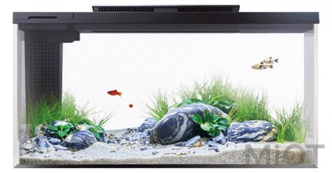 Акваріум Xiaomi Petkit Smart Fish Tank 10L Black (E410)