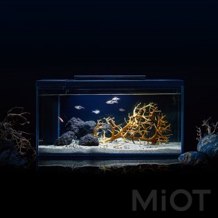 Акваріум Xiaomi Petkit Smart Fish Tank 10L Black (E410)