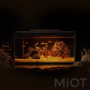Акваріум Xiaomi Petkit Smart Fish Tank 10L Black (E410)