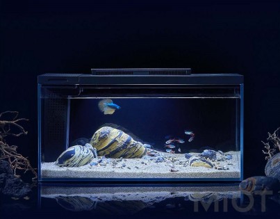 Акваріум Xiaomi Petkit Smart Fish Tank 10L Black (E410)