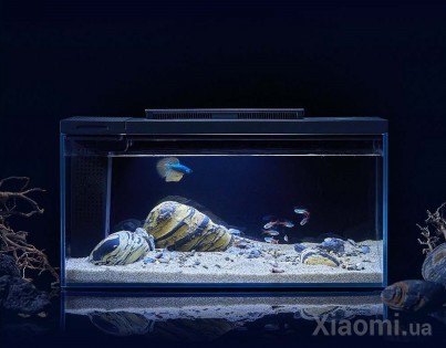 Аквариум Xiaomi Petkit Smart Fish Tank 10L Black (E410)