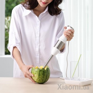 Блендер Xiaomi Qcooker Chef Hand-Held Cooking Stick (White) CD-HB01