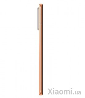 Смартфон Xiaomi Redmi Note 10 Pro 6/64 Gradient Bronze EU/CE