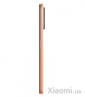 Смартфон Xiaomi Redmi Note 10 Pro 6/128 Gradient Bronze EU/CE
