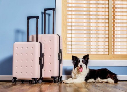 Чемодан Xiaomi Runmi 90 Ninetygo Polka dots Luggage 24" Pink (6972125142986)