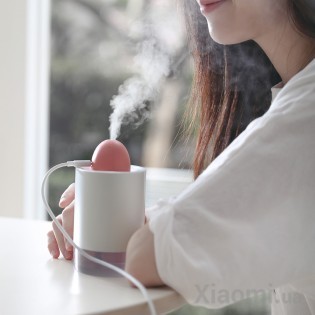Настольный увлажнитель воздуха Xiaomi SOLOVE H5