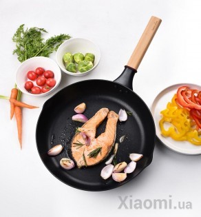 Сковорода Xiaomi Taste Plus MOTOMI WOK pan 30 cm (TP1J30)