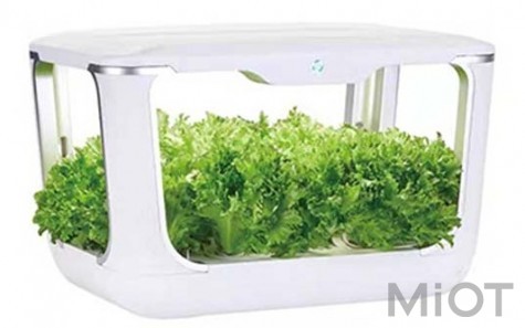 Интеллектуальный экологический плантатор Xiaomi Tiny Green 15 pcs