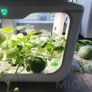 Интеллектуальный экологический плантатор Xiaomi Tiny Green 15 pcs