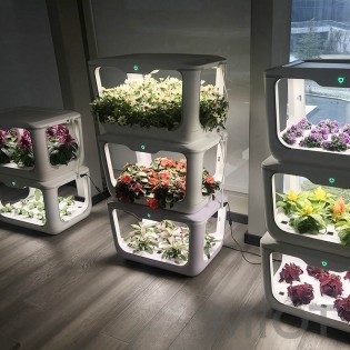 Интеллектуальный экологический плантатор Xiaomi Tiny Green 15 pcs