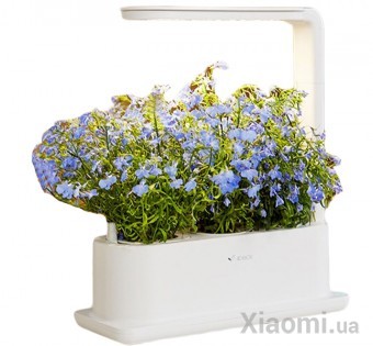 Интеллектуальный экологический плантатор Xiaomi Tiny Green 3 pcs