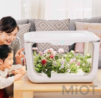 Интеллектуальный экологический плантатор Xiaomi Tiny Green 15 pcs