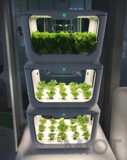 Интеллектуальный экологический плантатор Xiaomi Tiny Green 15 pcs
